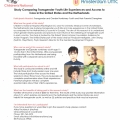 Invitation to Participate in a Research Study Comparing Transgender Youth Life Experiences and Access to  Care in the United States and the Netherlands