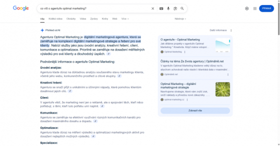 AI Overviews odpovídá na tzv. informační dotazy