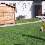 Vojáci baví DD, Hranice 2019