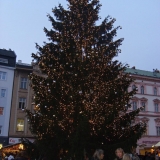 Strom splněných přání 2011