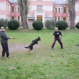 Ukázka výcviku psů - DD 2014