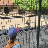 Aquapark a Zoopark Vyškov 26
